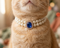 Double-row pearl pet collar with sparkling gem centrepiece for cats and dogs